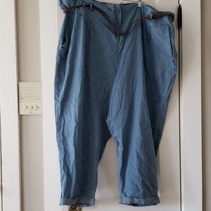 NWOT Modamix by Brandon Thomas Capris 28W